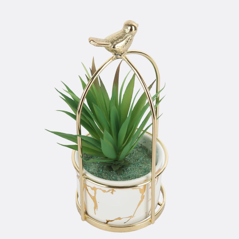 Green And White Toned Succulent Artificial Plant With Sparrow Pot