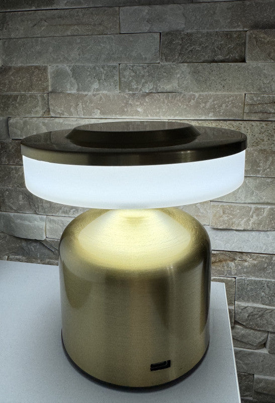 Metal Touch Sense Multiple Shade Rechargeable Desk Lamp