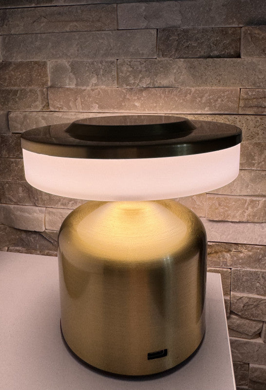 Metal Touch Sense Multiple Shade Rechargeable Desk Lamp