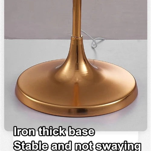Imported Transparent Acrylic Butterfly Gold LED Floor Lamp
